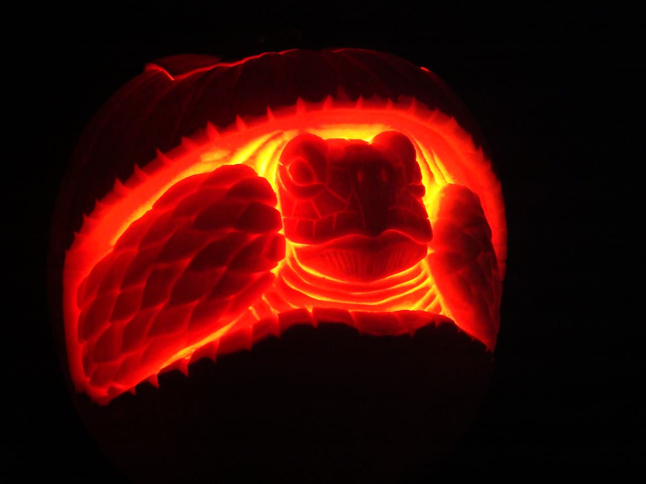 También hay animales lumínicos entre las calabazas.