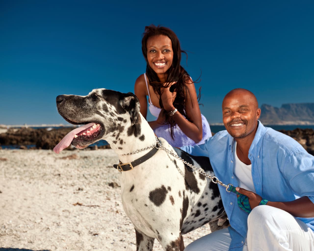 Los perros son mascotas que ayudan a fortalecer la relación familiar.