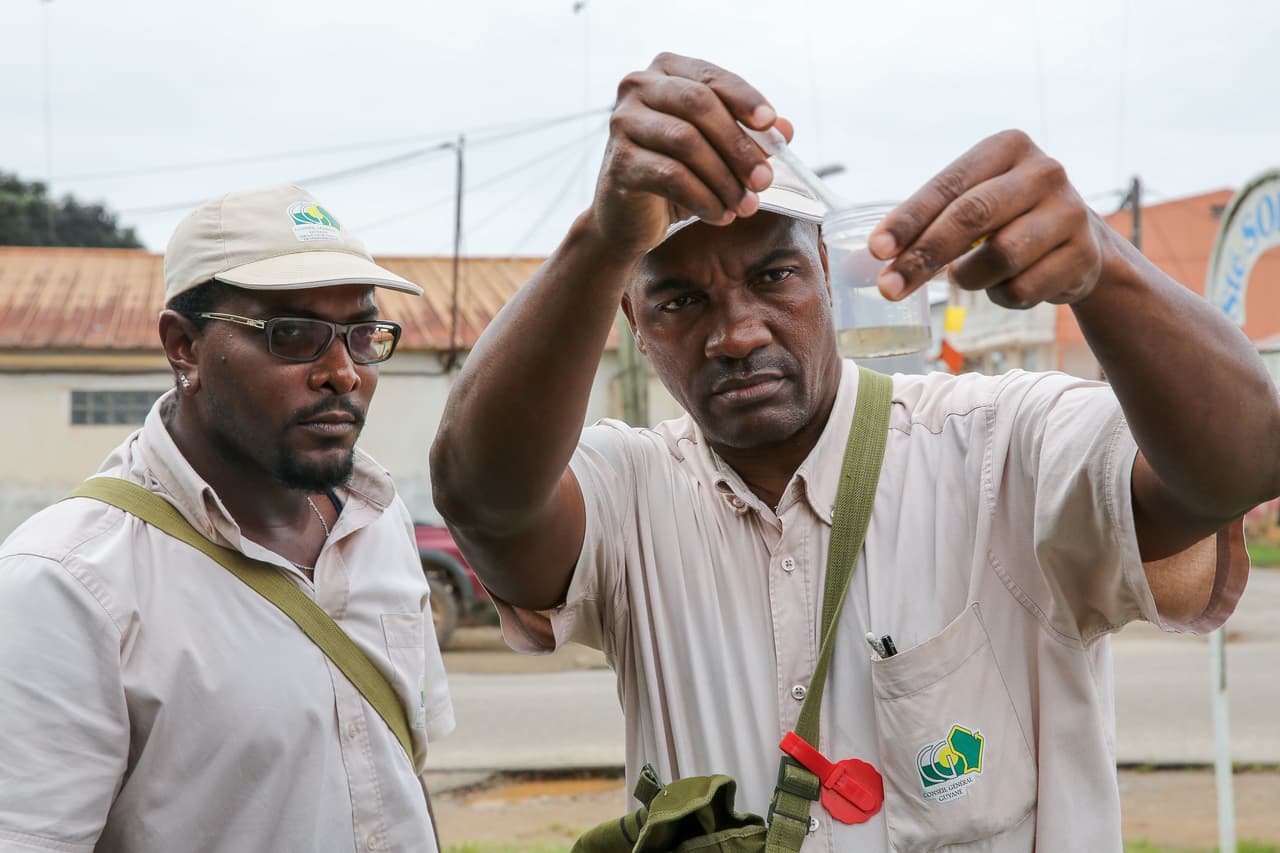 En la Guyana francesa, miembros de las Autoridades Territoriales desarrollan una intensa campaña preventiva contra el mosquito transmisor del Virus del Zika.