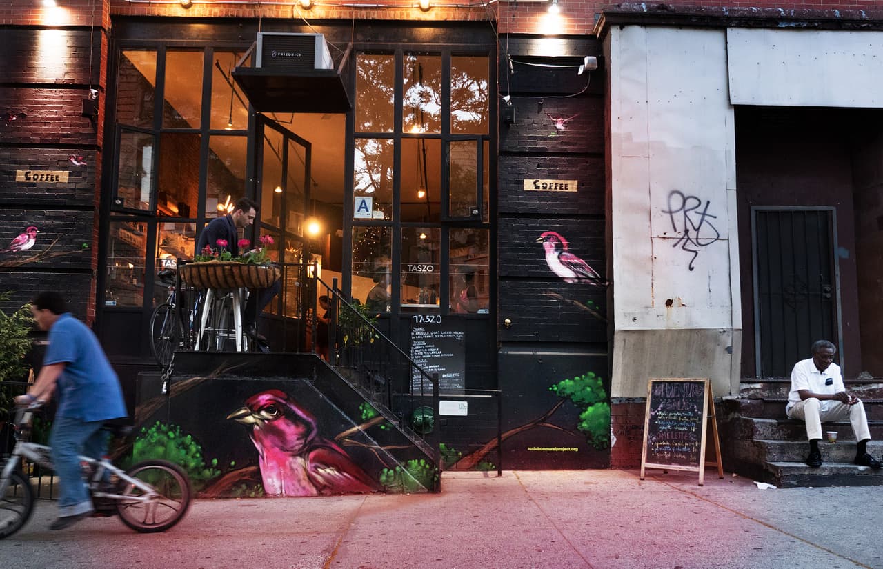 Especie: Pinzón Mexicano; Artista: Mr. Mustart