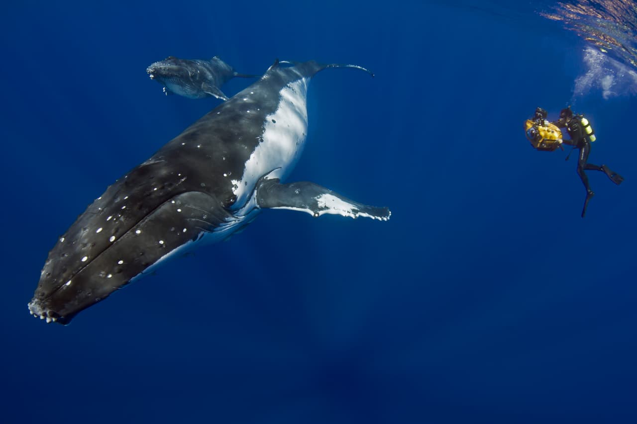 En la categoría "Haciendo la diferencia: Los seres humanos en acción" el ganador fue Michele Hall, de Estados Unidos.