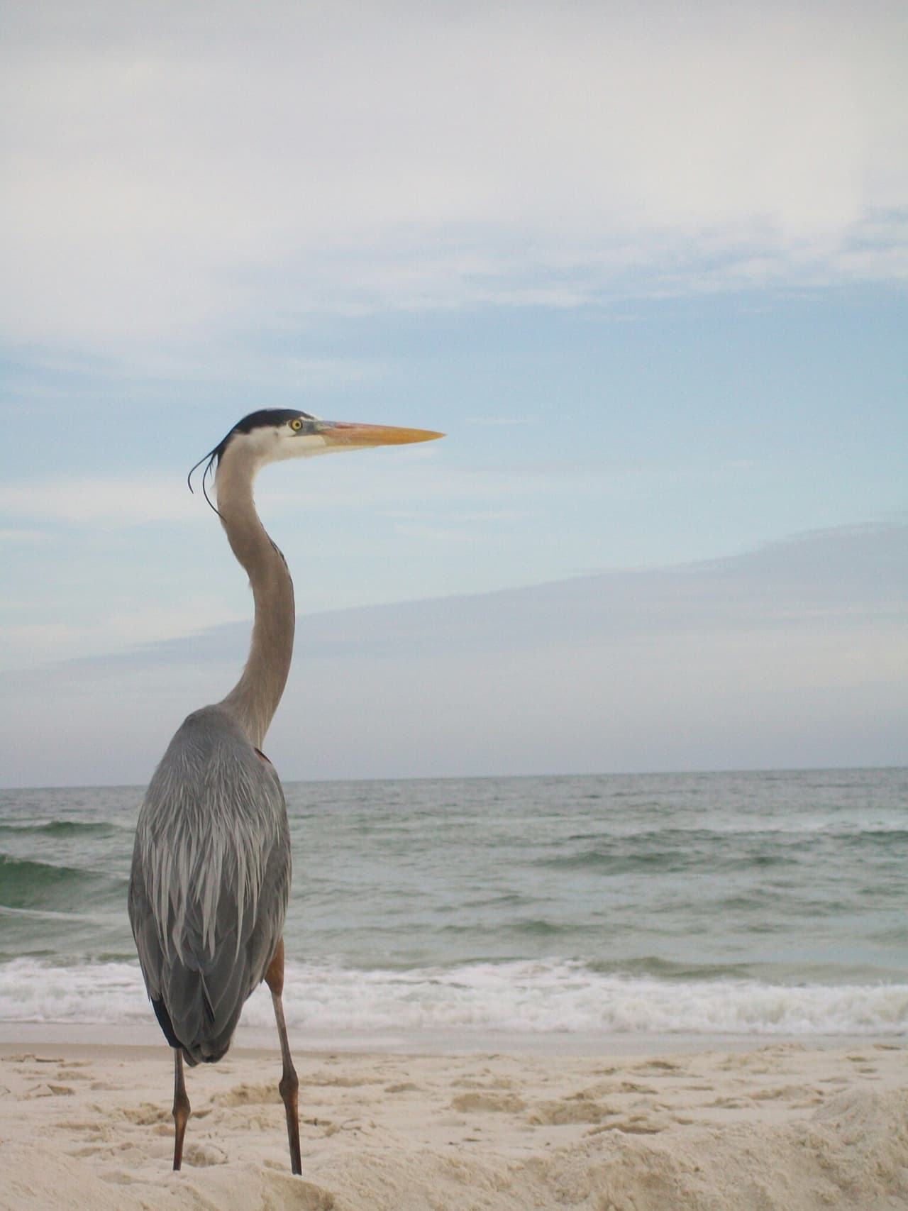 Esta es la fotografía ganadora de la categoría juvenil.