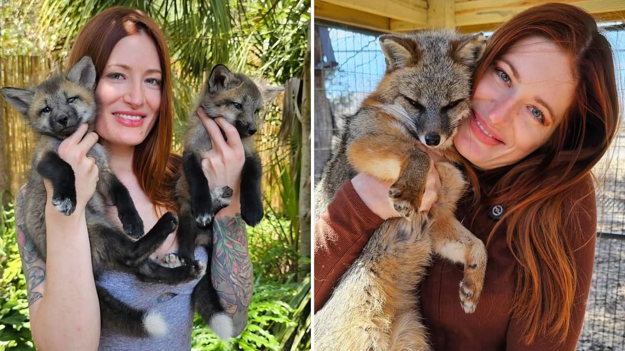 Revelan la causa de muerte de la youtuber y defensora de animales a los 29 años