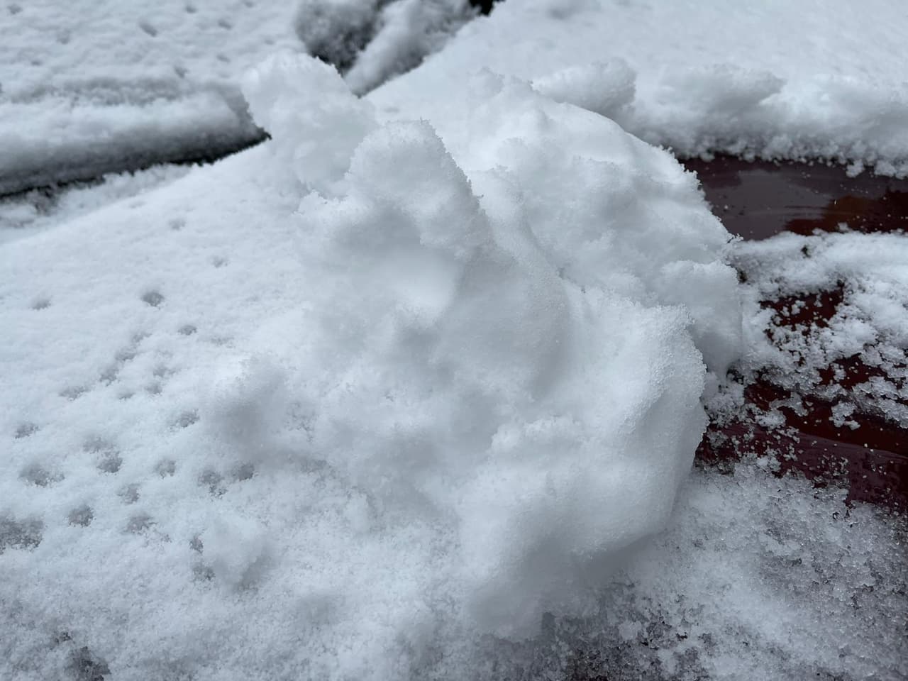 Si tiene que conducir, ¡Valla despacio! Incluso si las carreteras sólo se ven mojadas, aún podrían ser resbaladizas.