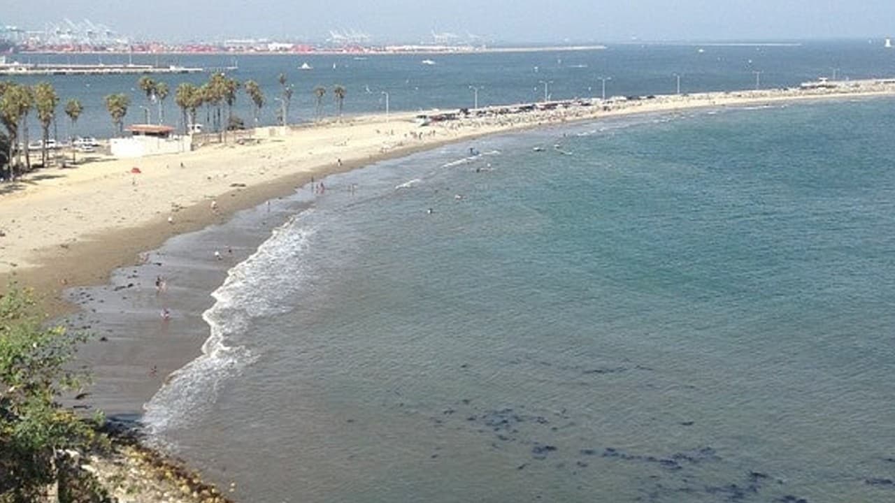 Un reporte del Departamento de Salud Pública de Los Angeles informa que los residentes deben evitar nadar en cinco playas por su alto índice de bacterias.