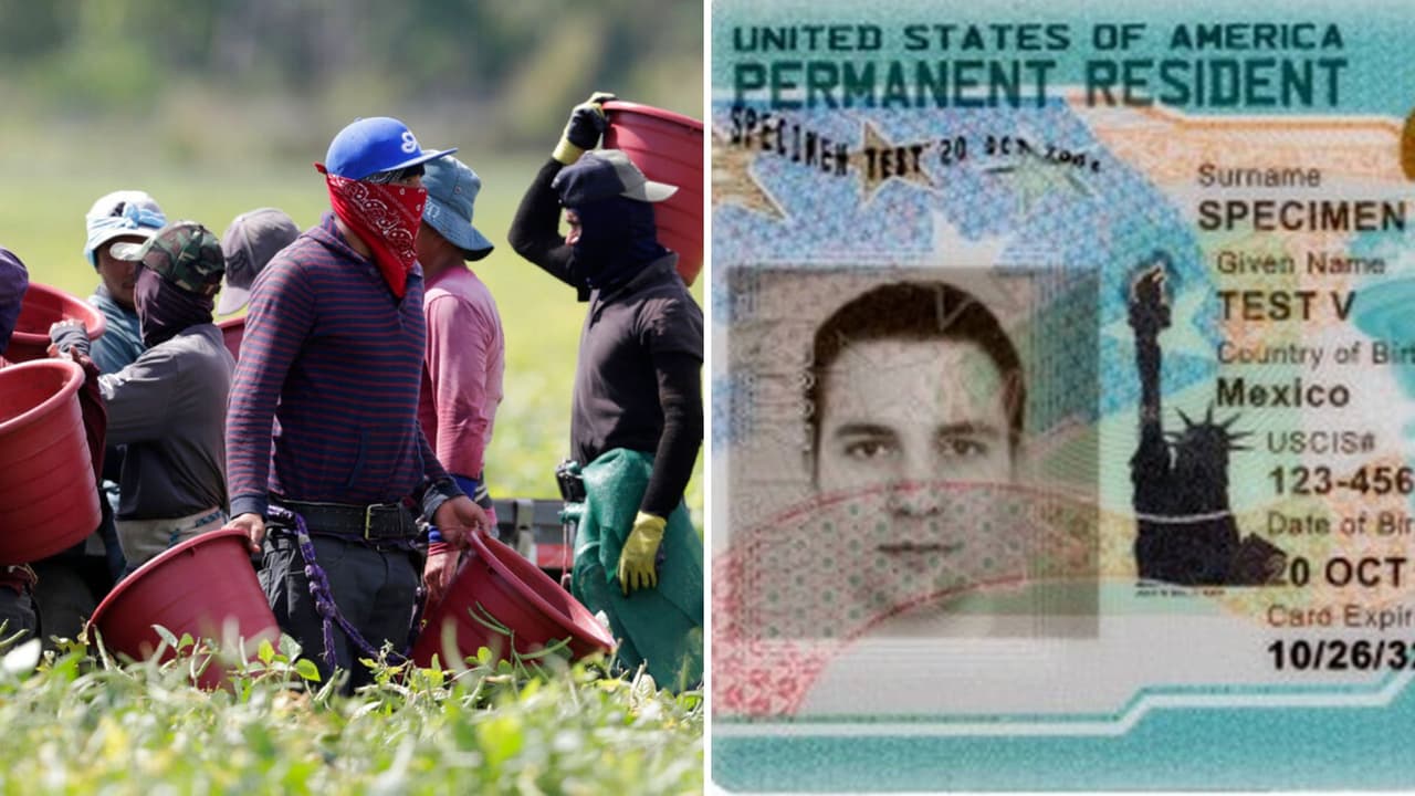 Residencia permanente para trabajadores agrícolas: ¿Qué sigue con la nueva propuesta de ley en California?