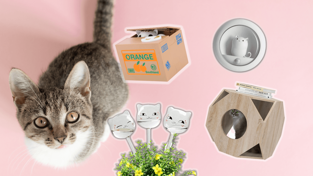 Michilover: La guía para encontrar el regalo más cute para los amantes de los gatos