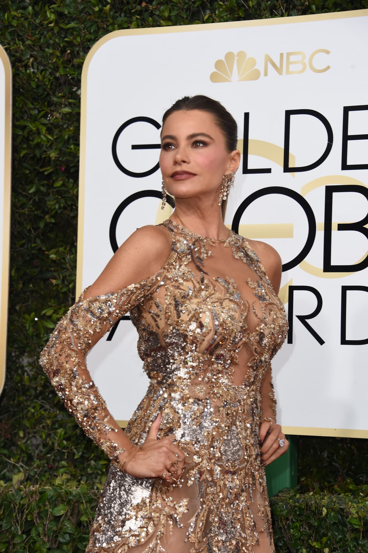El vestido de Sofía Vergara en los Golden Globes fue del diseñador Zuhair Murado.