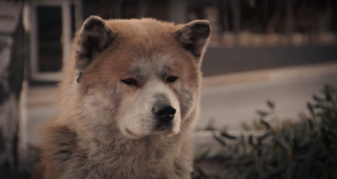 Películas de Netflix