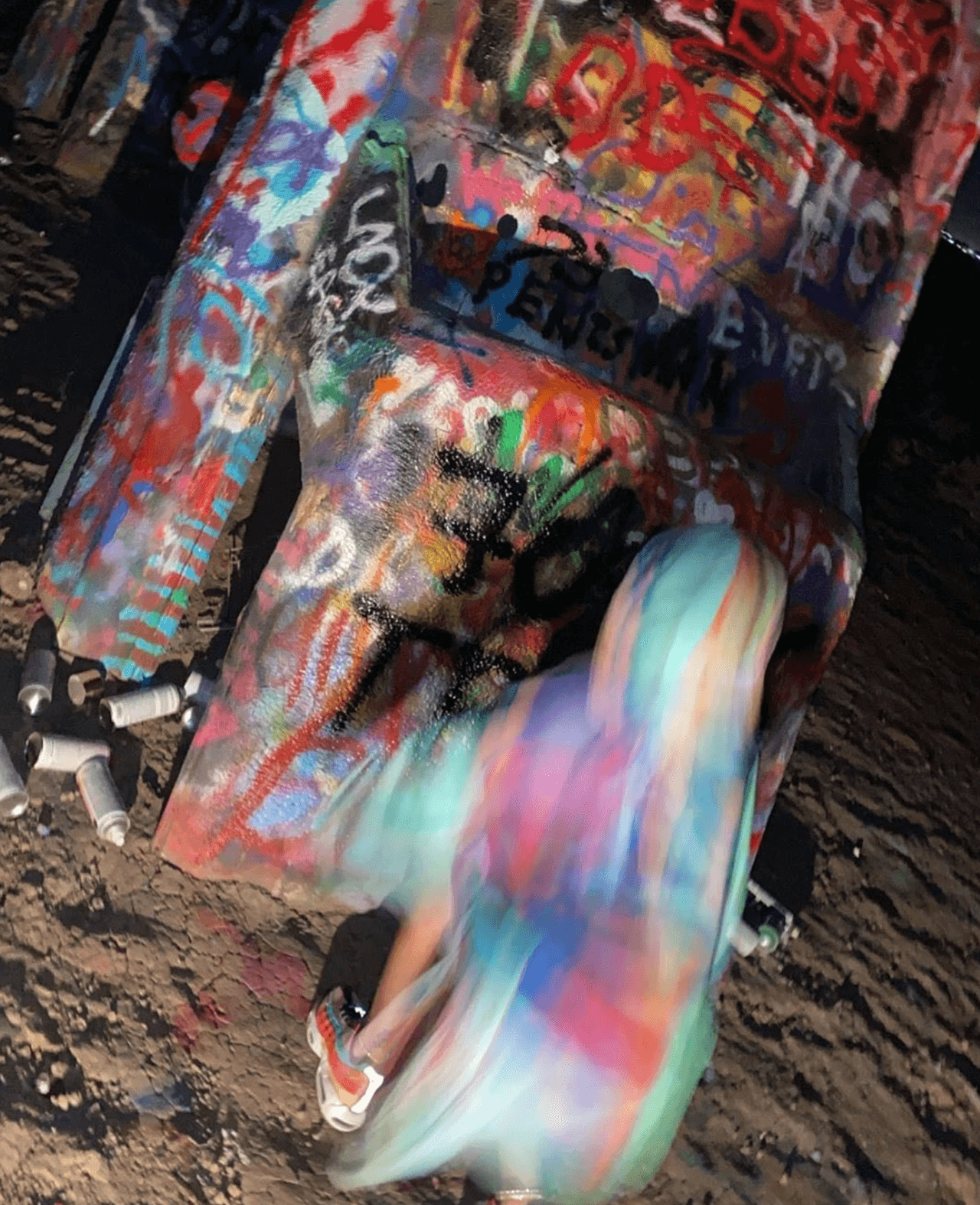 La artista estaba sentada frente a un Cadillac que leía la frase:
<b>"F**k Trump"</b>, haciendo referencia al presidente de Estados Unidos,
<a href="https://www.univision.com/temas/donald-trump">Donald Trump</a>.
<br>