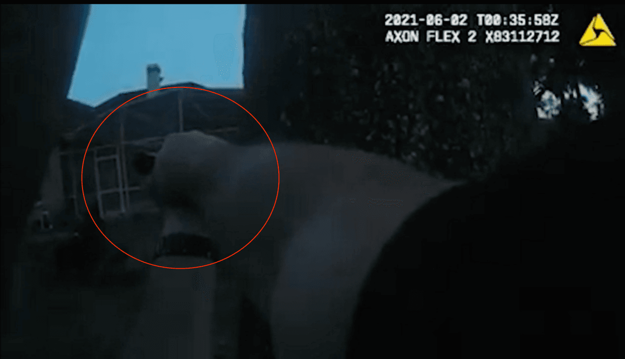 "¿Cómo es que un niño de 12 y 14 años están tan llenos de odio?": alguacil sobre tiroteo en Florida