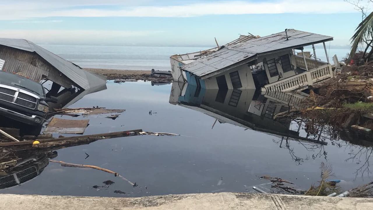 Mayagüez (Puerto Rico) después del paso del huracán María: últimas noticias