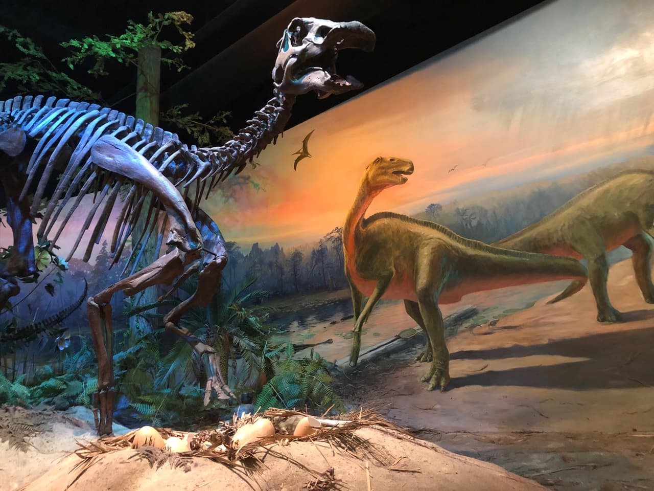 <b><a href="https://naturalsciences.org/">North Carolina Museum of Natural Sciences</a></b>. El museo de historia natural más grande del sureste presenta dinosaurios, esqueletos de ballenas, animales vivos, dioramas para recorrer, exhibiciones especiales, educación científica práctica y científicos accesibles.