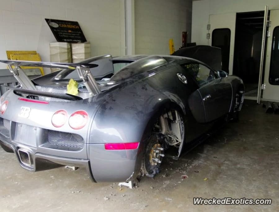 El propietario iba conduciéndolo en el momento del accidente y declaro que un grupo de aves voló cerca del auto y su reacción ante ellos hizo que terminara en una laguna.
