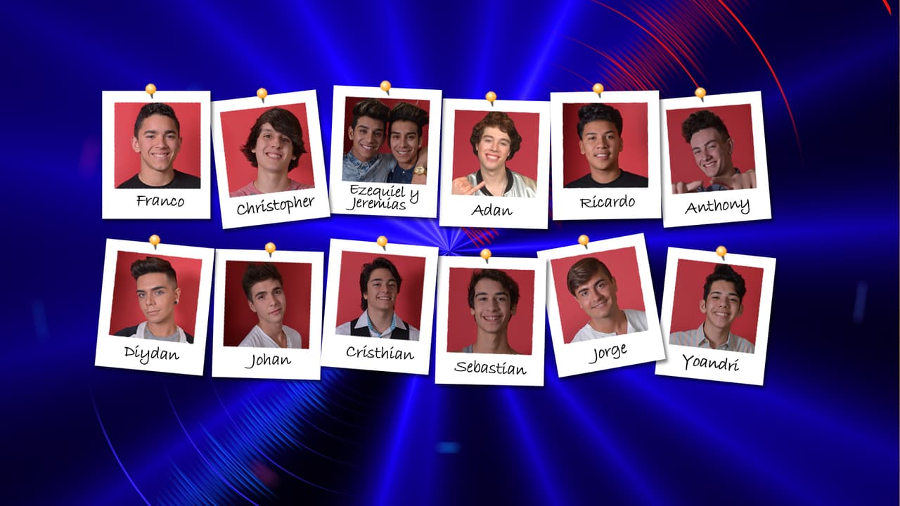 Los que pasaron en el segundo show de audiciones.