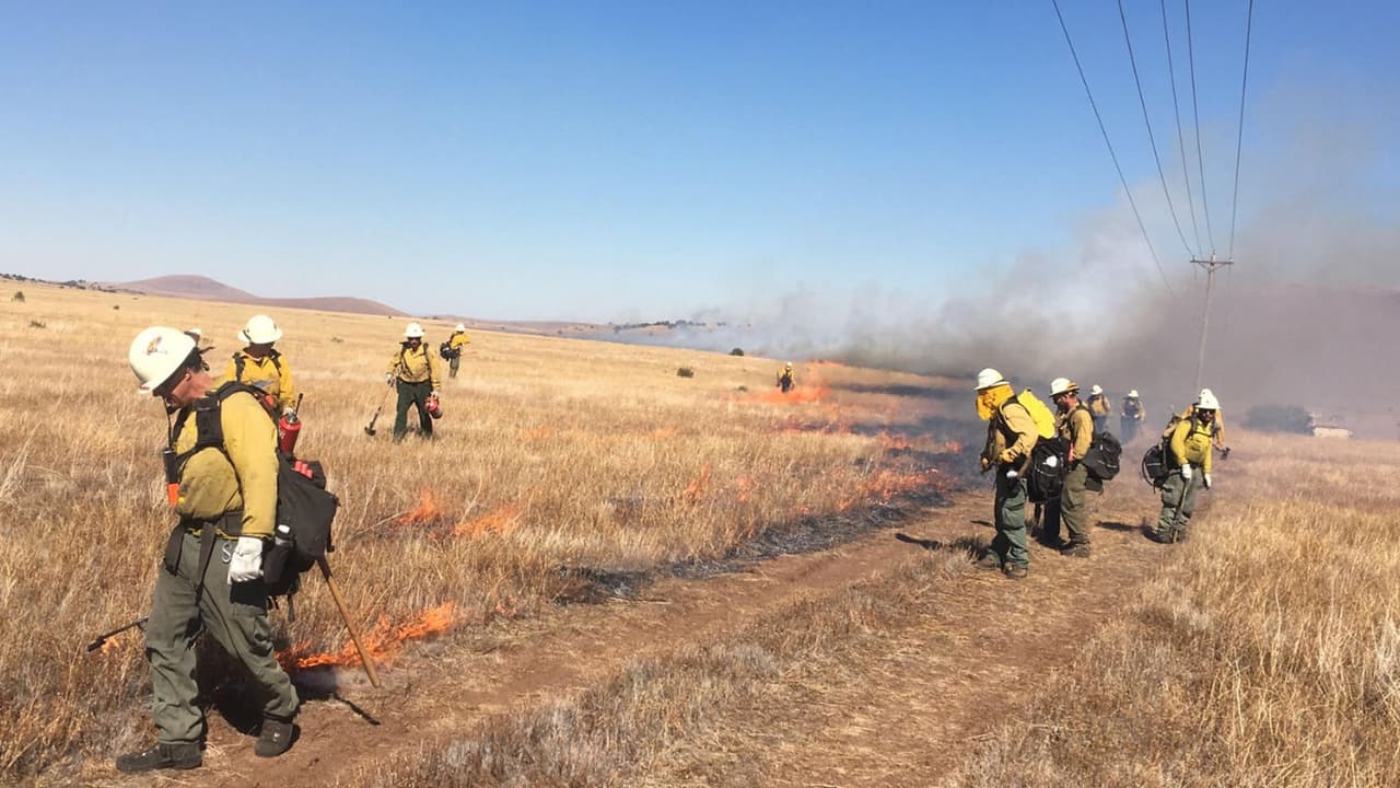 Incendio Babo consume más de 1,000 acres al sur de Arizona