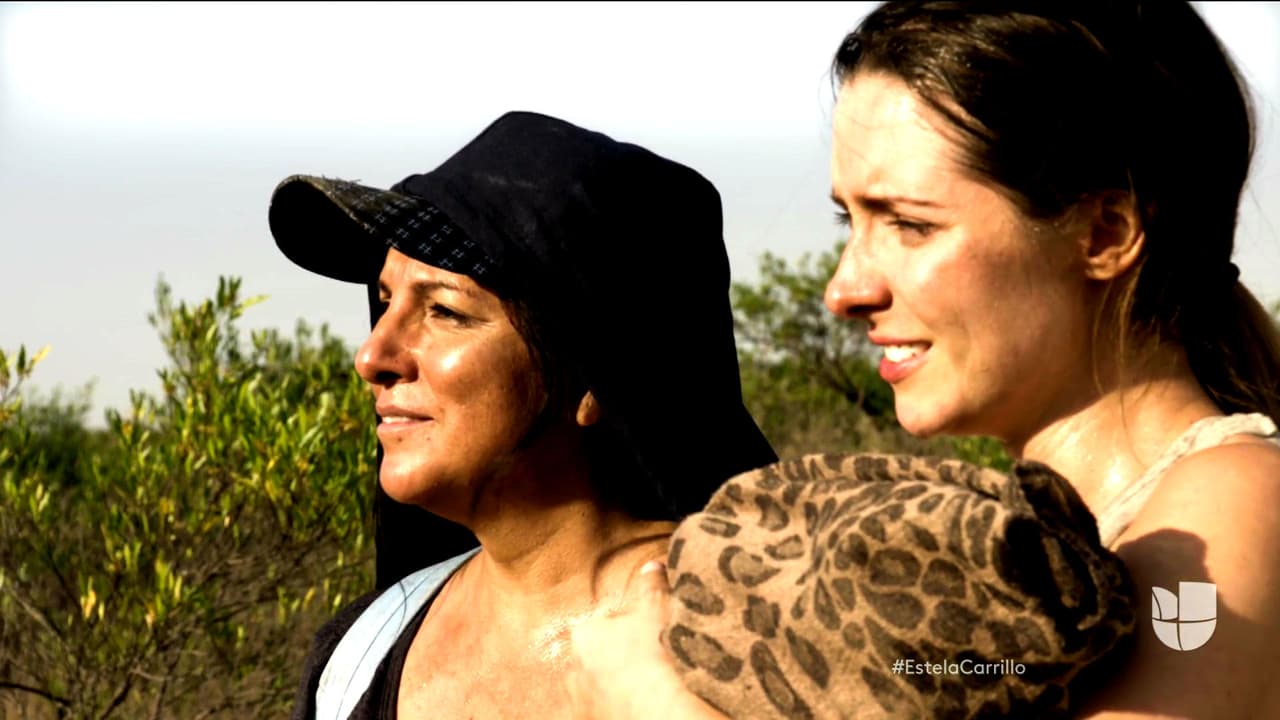 <b><a href="http://www.univision.com/novelas/la-doble-vida-de-estela-carrillo/estela-logro-cruzar-el-desierto-para-llegar-a-estados-unidos-y-cambiar-de-vida-video">Juntas cruzaron el desierto y llegaron a suelo estadounidense</a></b>. Al ingresar a Estados Unidos tuvieron que esconderse y huir de las autoridades migratorias.