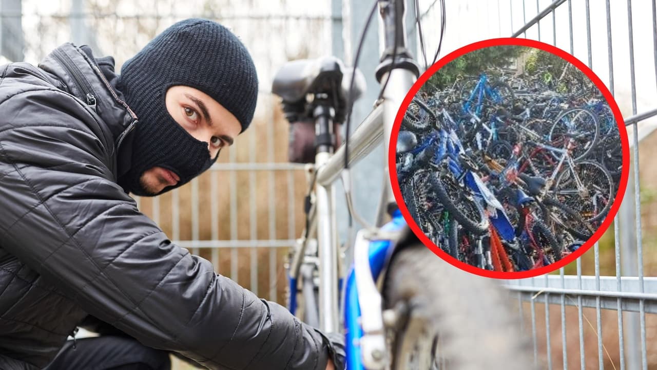 Capturaron a un ladrón de bicicletas gracias a Google Maps: tenía más de 500 en su patio