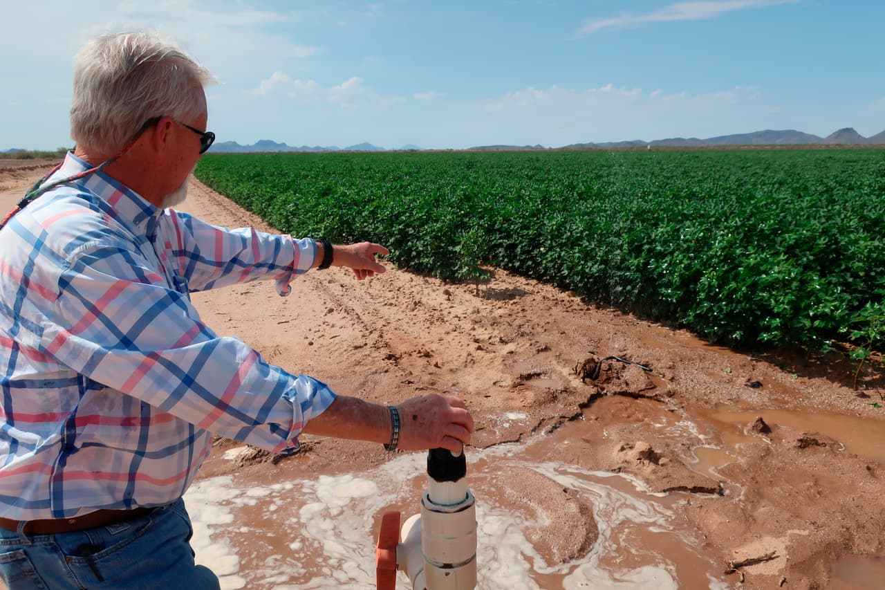 Paul “Paco” Ollerton, de 66 años, que cultiva principalmente alimentos para animales, señala parte de su propiedad. Dijo que plantará entre un 25% y un 35% menos de tierra el próximo año, debido a la sequía..