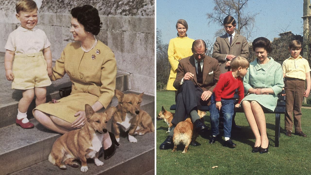 La reina Isabel II y sus perros a través de los años