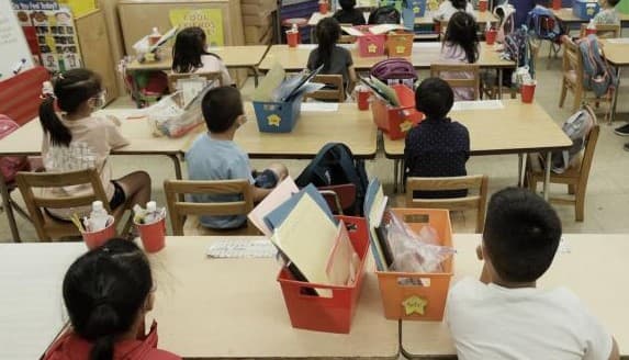 Los piojos adultos que viven en la cabeza tienen una longitud de 2.1 a 3.3 mm y adhieren sus huevos en la base del cabello.