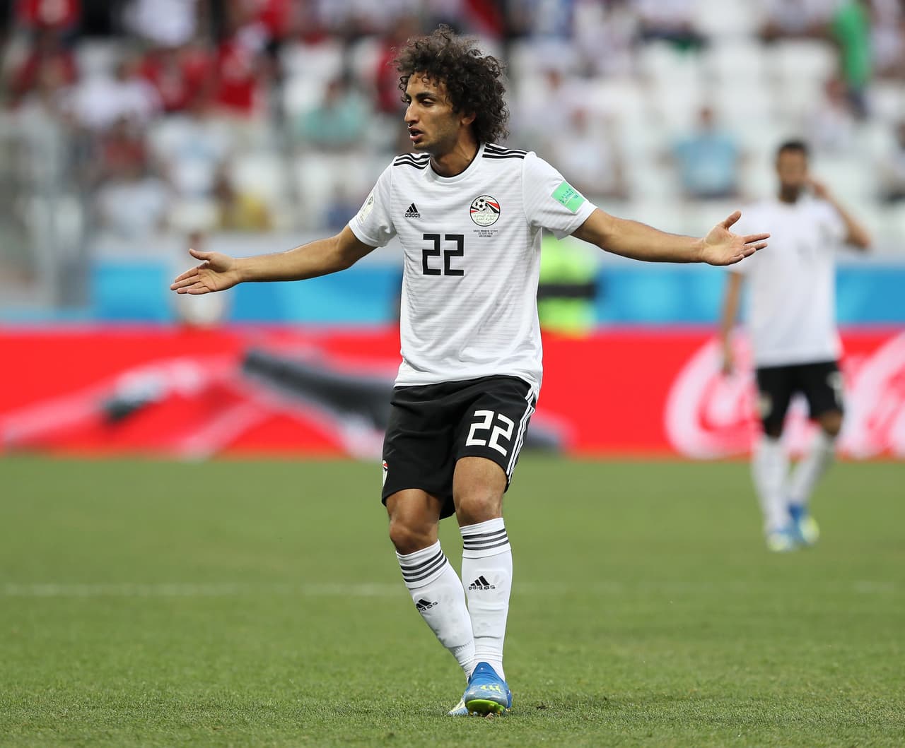 <b> Amr Warda</b>