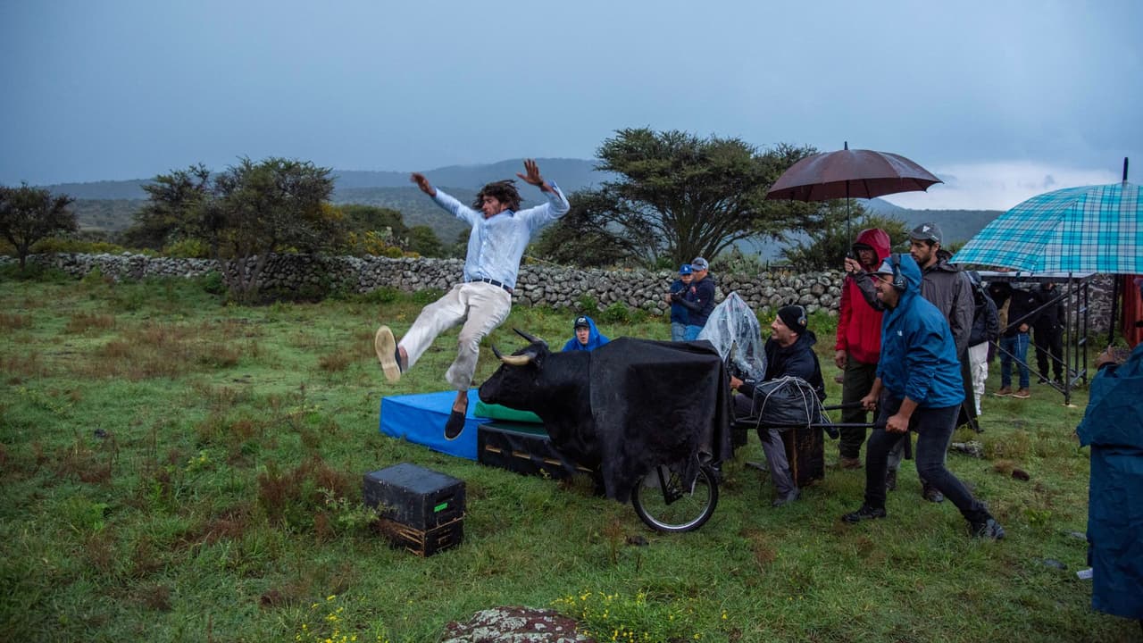 Aquí puedes ver cómo el doble sale volando ante el ataque del animal.