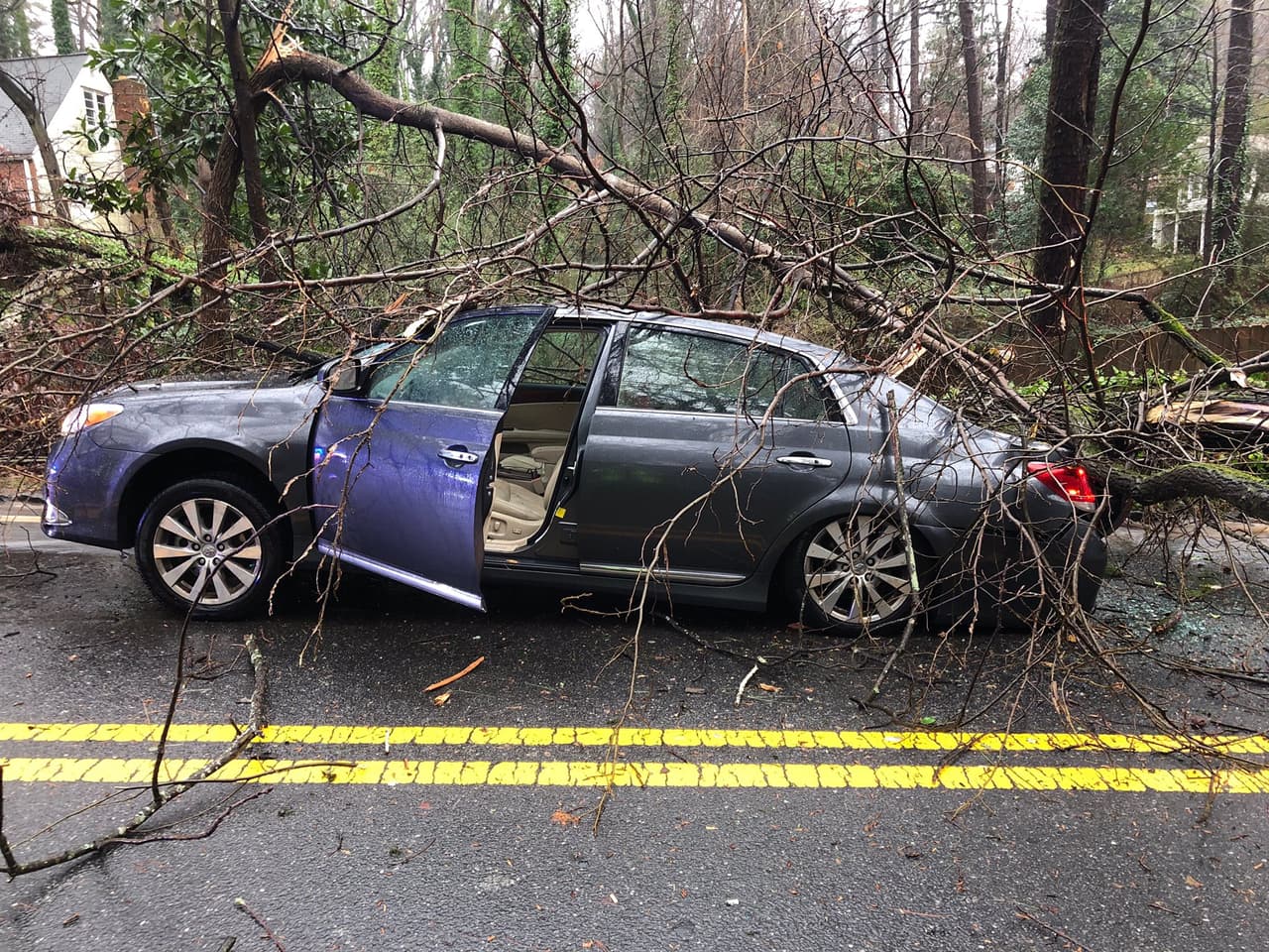 Un árbol cayó sobre un auto en Hammond Drive, cerca de Kayron Drive. El conductor resultó ileso, dijo la Policía de Sandy Springs.