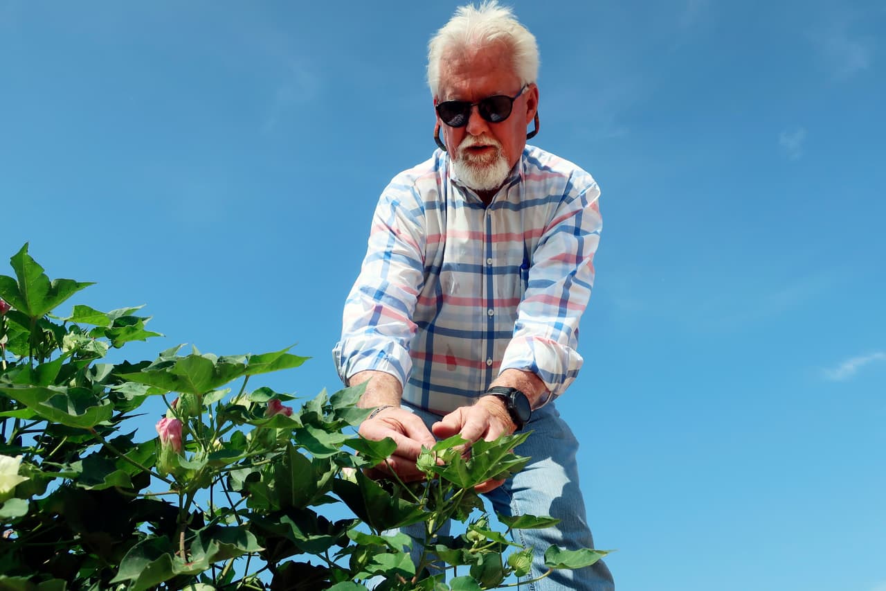 Paul "Paco" Ollerton, en una de sus granjas de cosecha de algodón, situada en un tramo de la autopista interestatal que une a Arizona y California. La propiedad usa riesgo por goteo para hacer más eficaz el uso de agua y ahorrar el líquido.