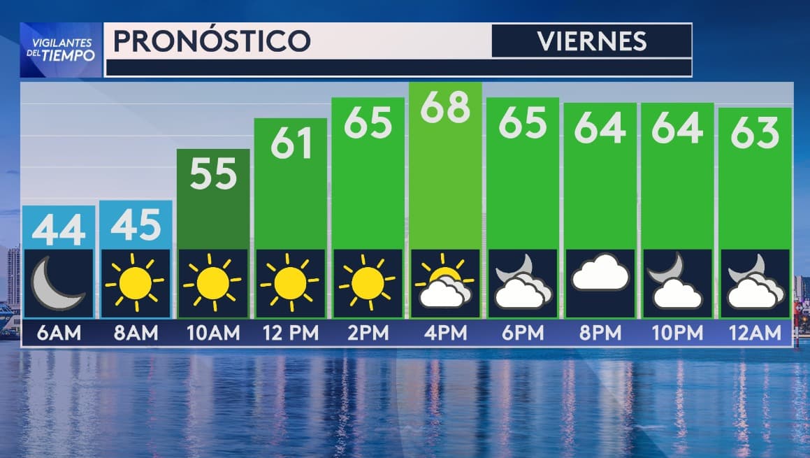 Miami experimenta las temperaturas más bajas de los últimos años: ¿hasta cuándo durará el frío?