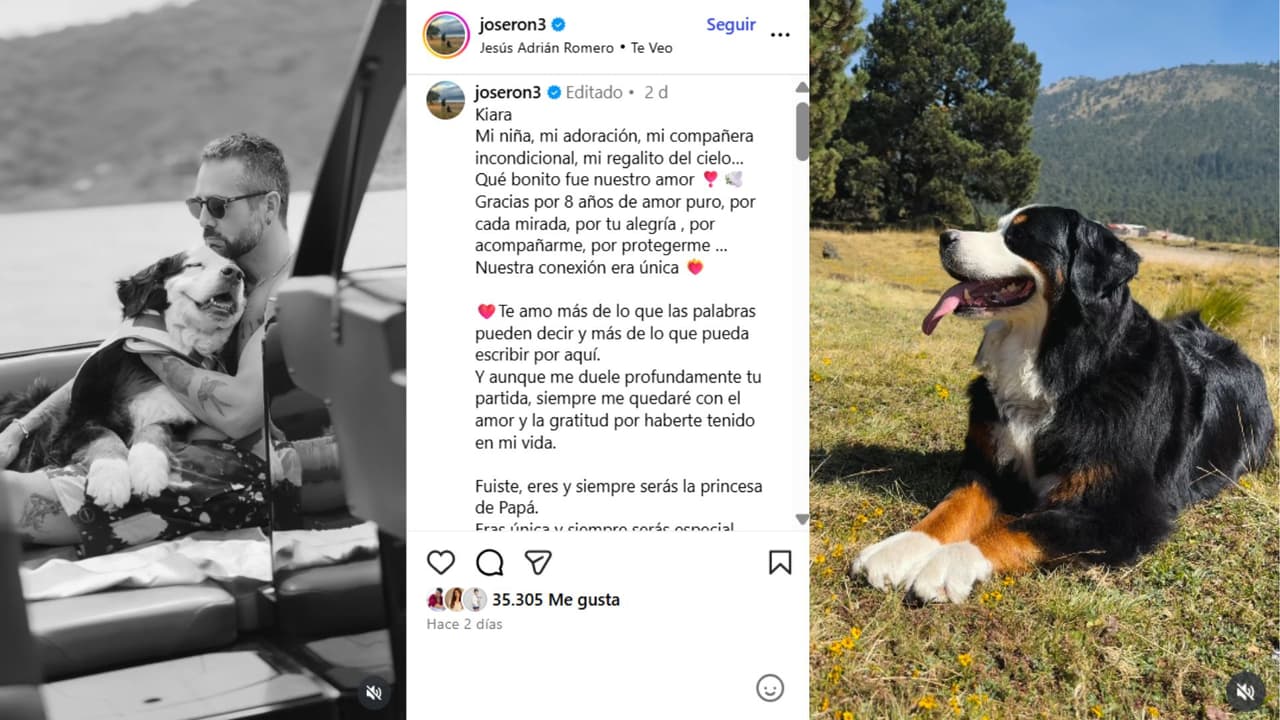 José Ron dio a conocer la muerte de su perrita, Kiara.