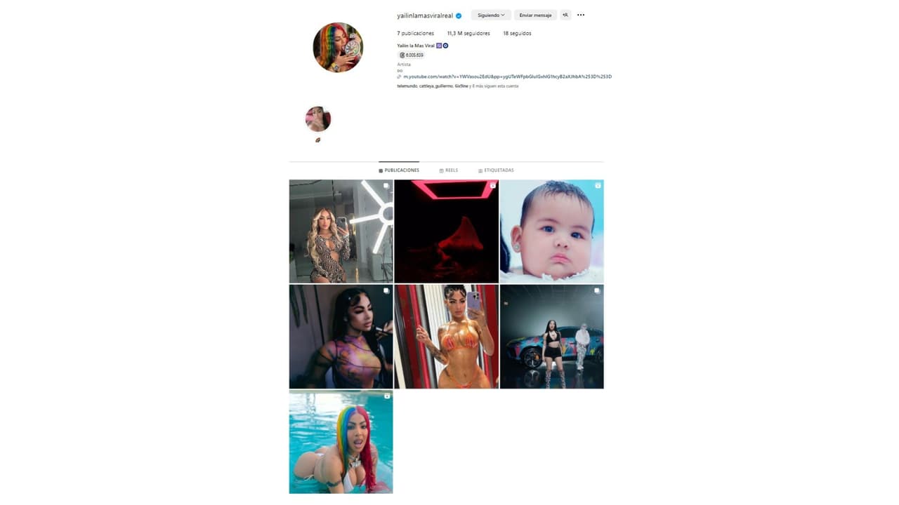 Así luce el perfil de Instagram de Yailin La Más Viral.