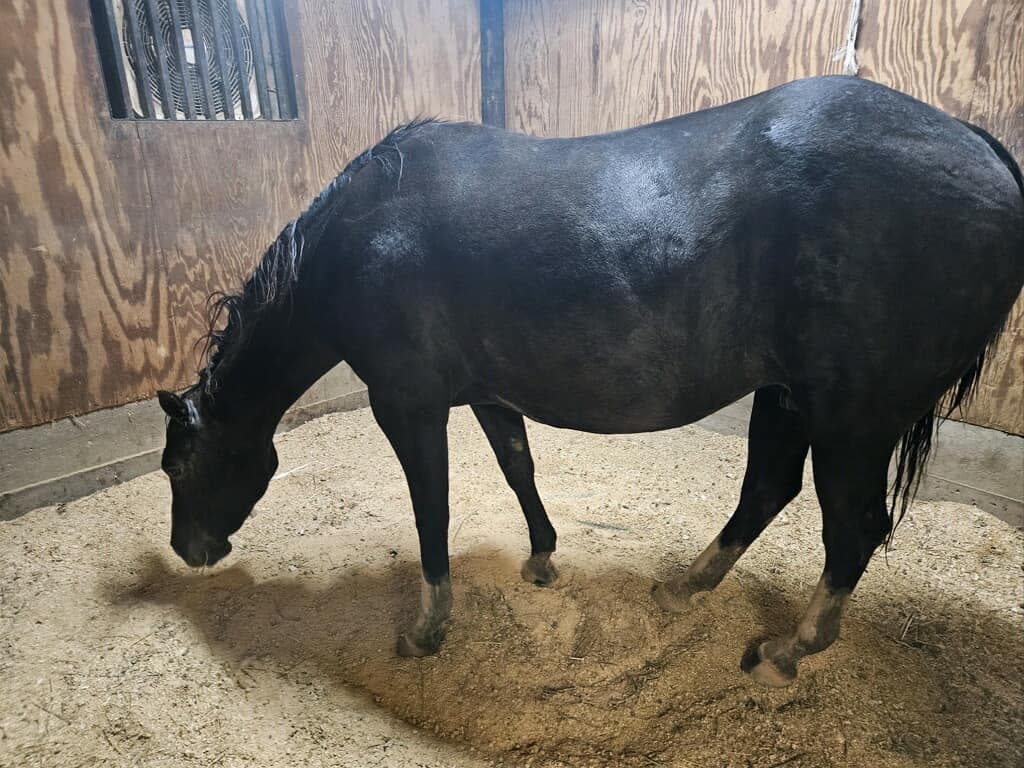 Veinte minutos más tarde, estaba libre y caminaba de nuevo.
<br>