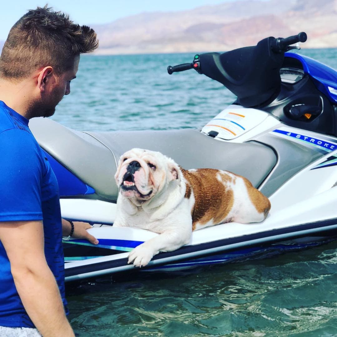 O bien dar un paseo más divertido en
<b>moto acuática</b>. Benito es tan famoso que incluso tiene su propia cuenta en Instagram.