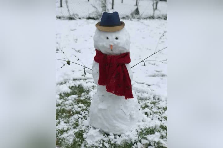 Muchos aprovecharon el raro evento para tomarse fotos, jugar con la nieve y construir el tradicional muñeco navideño.