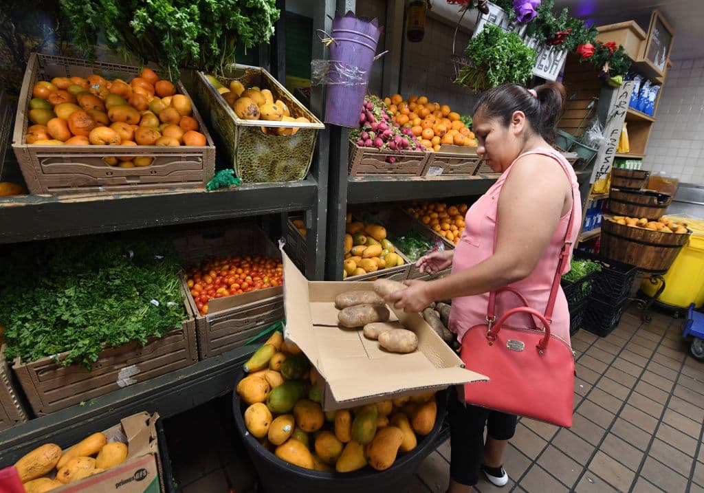 Jueza bloquea una regla del gobierno de Trump que pretendía recortar los cupones de alimentos a casi 700,000 desempleados