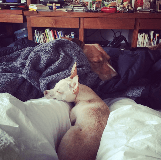 Con esta fotografía la actriz confesó que es imposible levantarse de la cama, ¿te ha pasado?