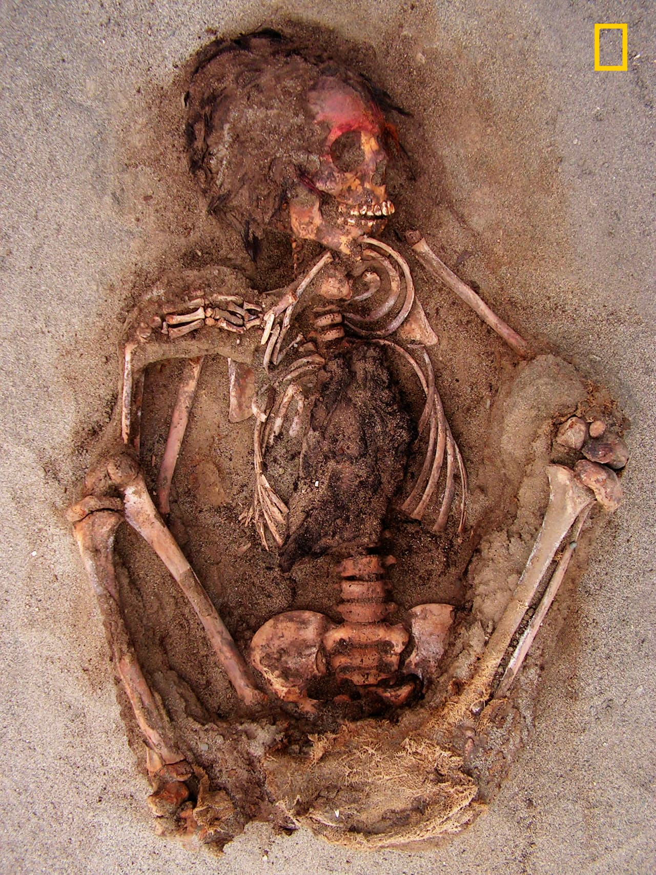 Los restos tenían cortes transversales en el esternón. Los expertos creen que era para sacarles el corazón.|Gabriel Prieto/National Geographic