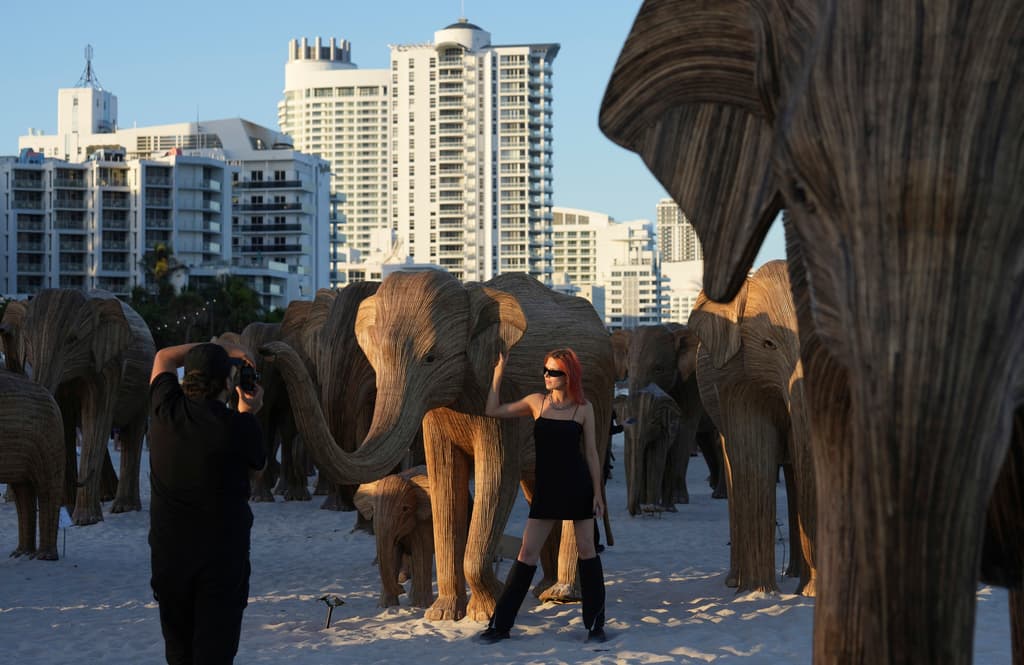 Turistas y residentes de Miami visitan la obra y se toman fotografías.