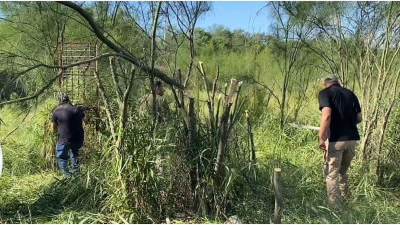 Se espera que el felino sea trasladado a un zoológico en Ciudad Victoria, donde recibirá cuidado especializado.