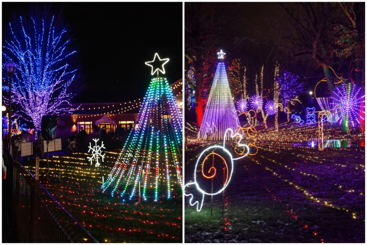 Dos millones de luces LED se encuentran en el
<b>Zoológico de Chicago</b> en el espectáculo ZooLights de Lincoln Park, que también tiene melodías navideñas. A partir del 17 de noviembre hasta el 7 de enero de 2024, podrán disfrutar de esta atracción que incluye adornos de animalitos iluminados. Los
<b>lunes la entrada es gratis</b>, los demás días tiene un costo de $7 y el 31 de diciembre costará $10.