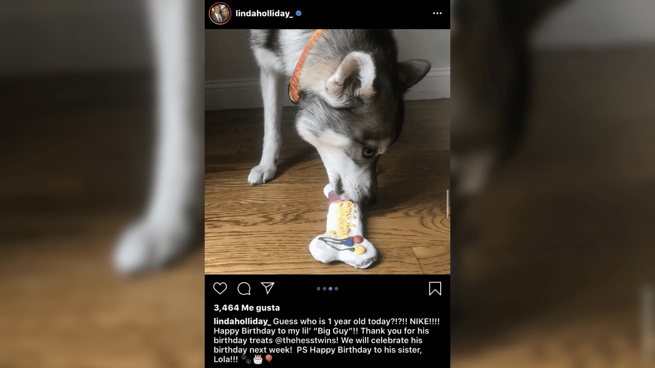 En la cuenta de la red social de Instagram Linda, ha subido fotografías de su amada mascota. ¡Él es Nike!