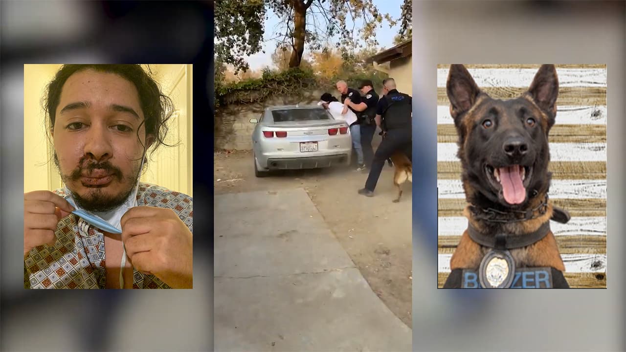 Policía de Visalia es demandada por arresto injustificado y agresión de canino