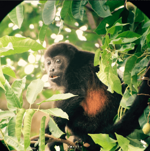 Pero hubo uno en particular que robó su atención.