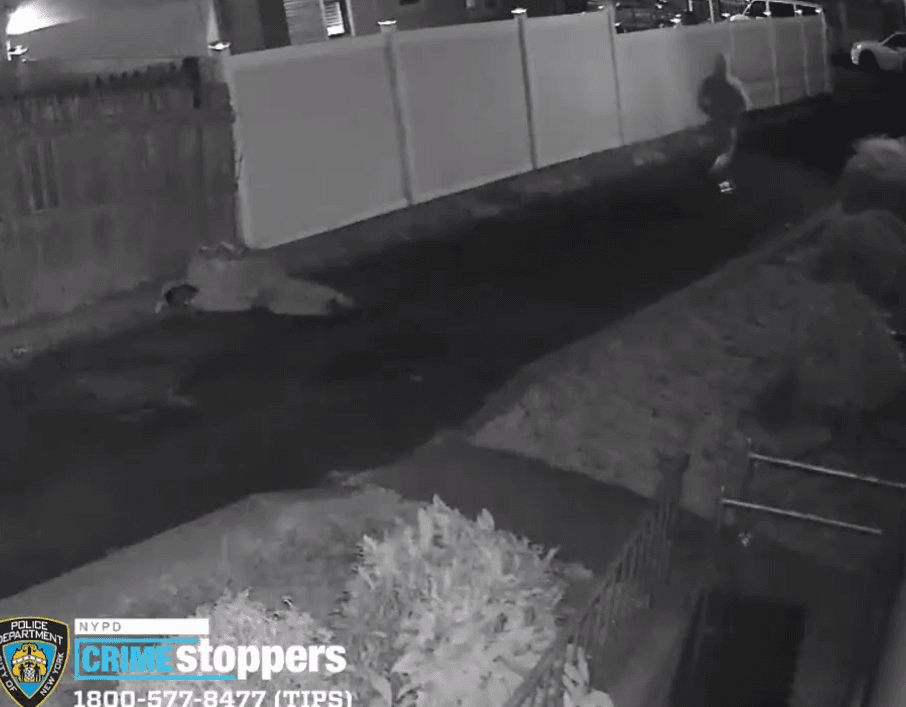 Un vídeo muestra el momento en el que ejecutan a un hombre en una acera de Queens