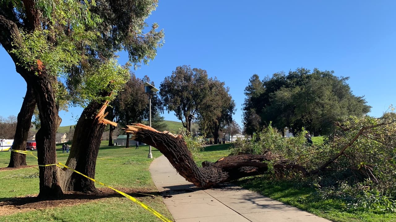 Servicio Meteorológico alerta por ventarrones de hasta 60 mph en el Norte de la Bahía