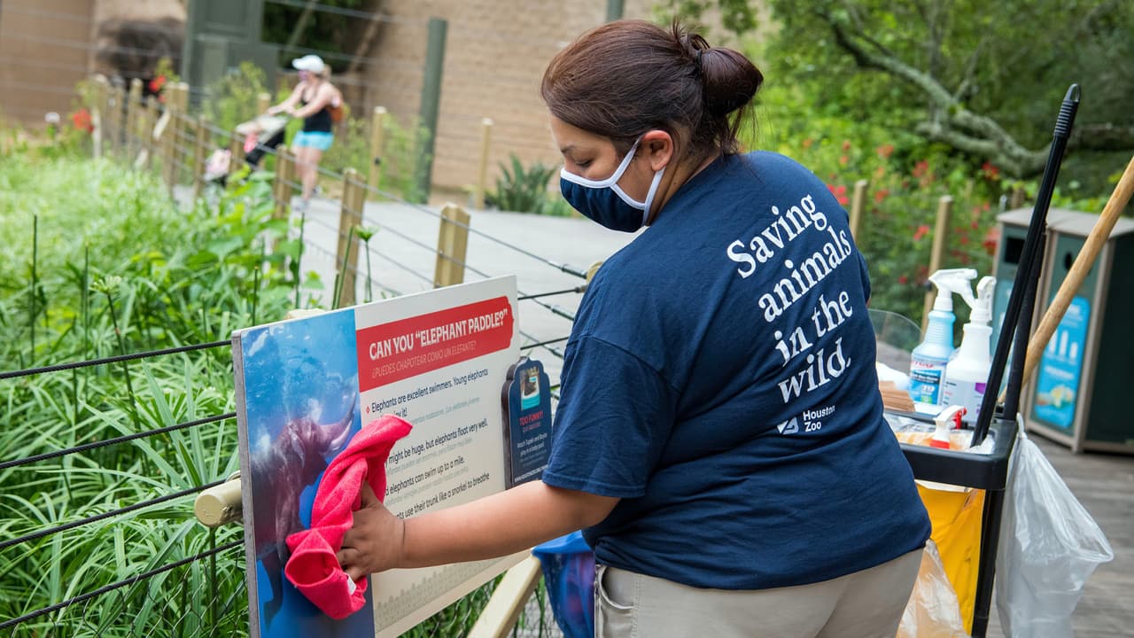 Este lunes inicia una nueva fase de reapertura en el Zoológico de Houston luego de haber estado cerrado por el
<a href="https://www.univision.com/temas/coronavirus">coronavirus</a>.