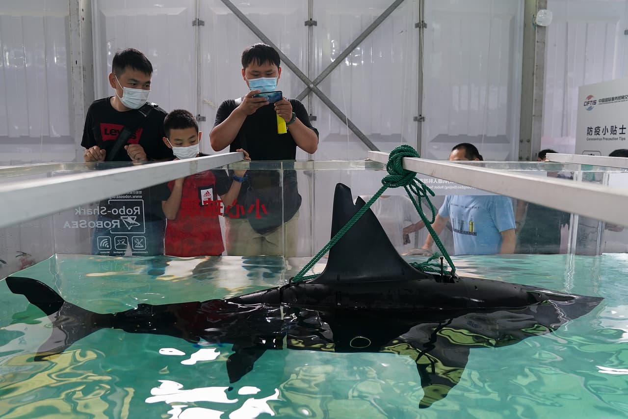 No solo el sector
<a href="https://www.univision.com/temas/salud">salud </a>se ha visto beneficiado. En imagen, un
<b> robo-shark es expuesto en la Feria Internacional de Comercio de Servicios de China 2020 (CIFTIS).</b> Este robot con forma de tiburón servirá para explorar lugares recónditos de los océanos con el fin de seguir adquiriendo nuevos conocimientos.
<br>