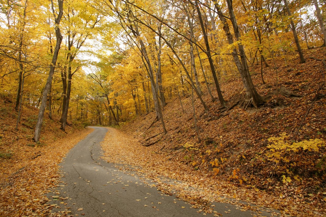 3.- Su creación fue impulsada por el senador
<b>Gaylord Nelson,</b> quien buscaba colocar los temas ambientales en la agenda pública.
