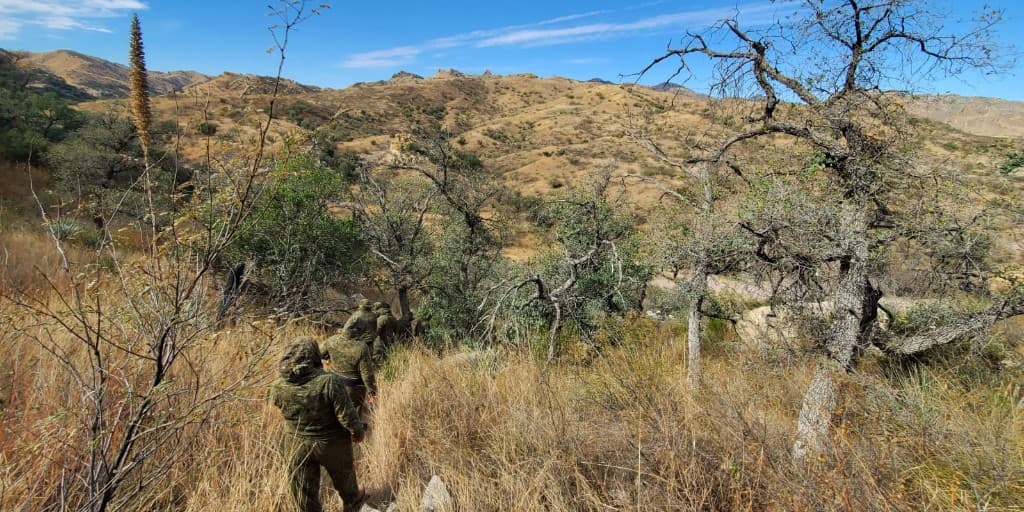 Con el apoyo de la unidad a caballo lograron ubicar a todo el grupo, todos fueron detenidos y procesados.